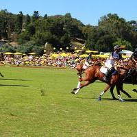 Veuve Clicquot Polo Classic Los Angeles at Will Rogers State Historic Park | Picture 99276